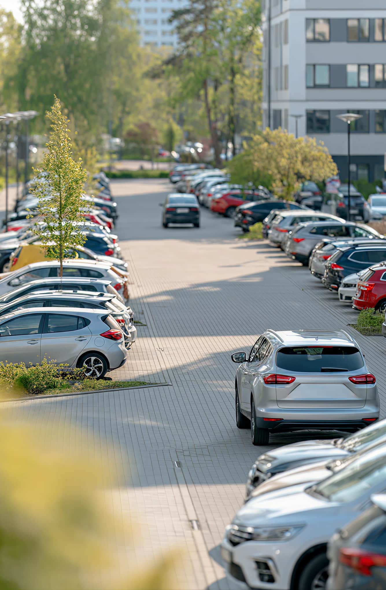 Parkplätze einer Wohnüberbauung mit parkierten Fahrzeugen entlang der Strasse